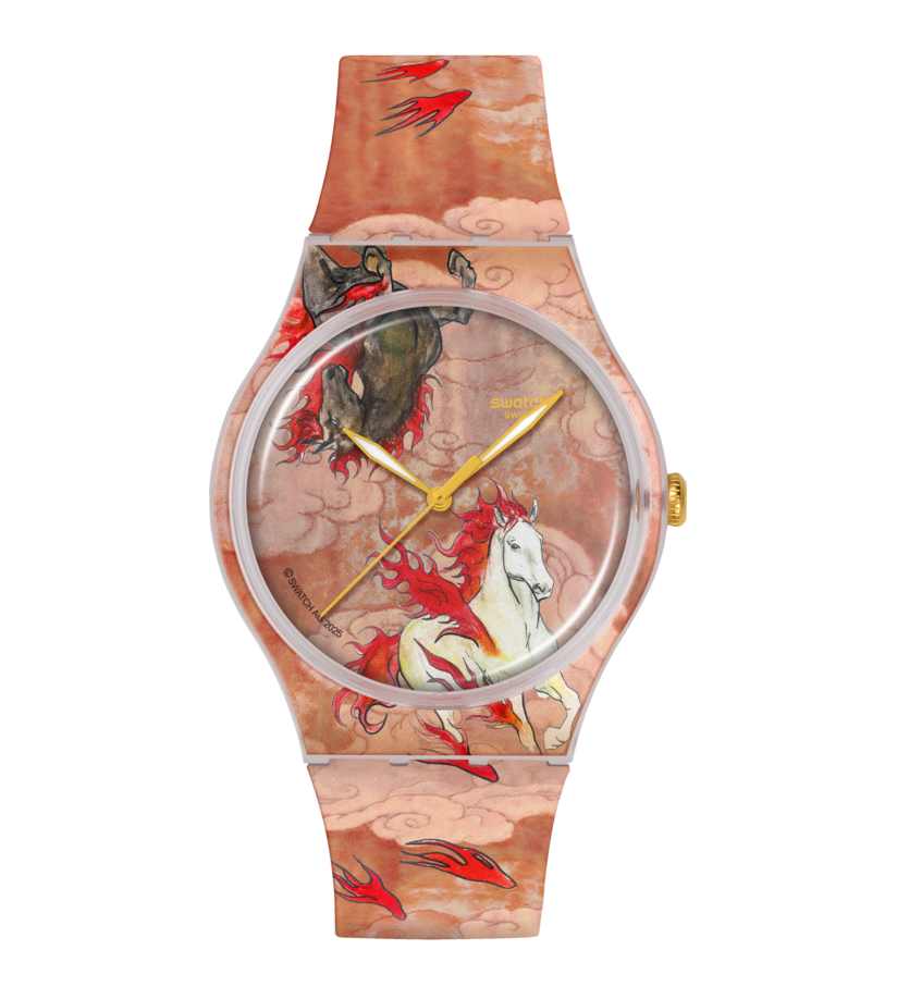 Swatch Riding The Clouds 41mm Unisex Watch -SUOZ369